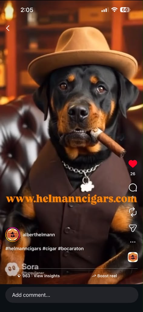 Inside Helmann Cigars — photo 30